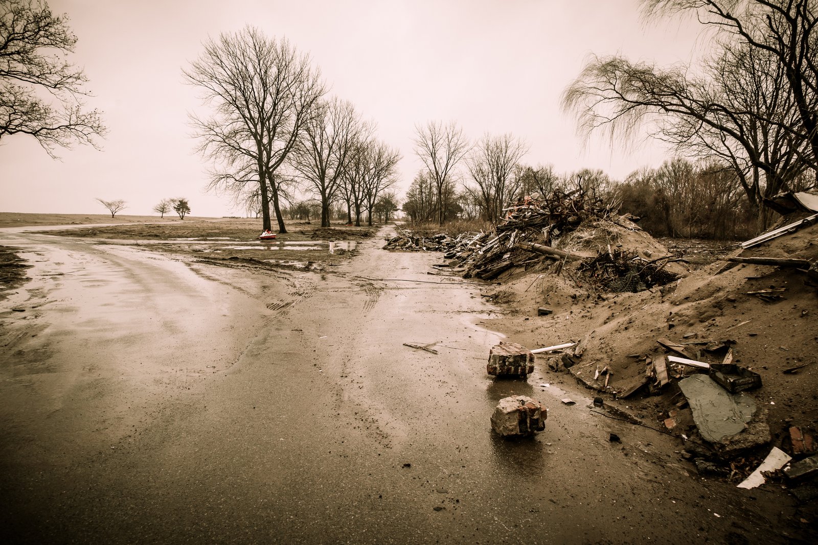 art-of-sandy-mo-staten island 2-20.jpg